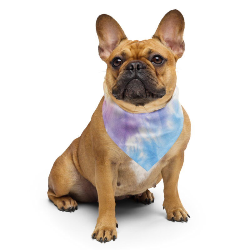 French Bulldog wearing the Pastel Rainbow tie-dye bandana